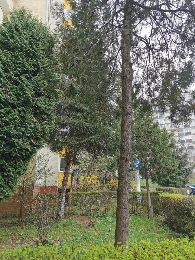 Apartament Maysa Cluj-Napoca Exterior foto